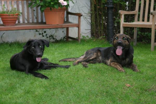 Nisha and Charlie - First Birthday