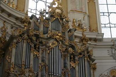 Organ